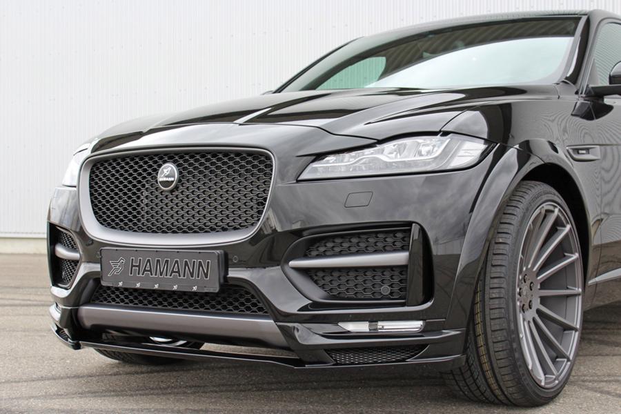 Детали экстерьера Jaguar F-Pace by Hamann 2017 года  (фото 5 из 12)
